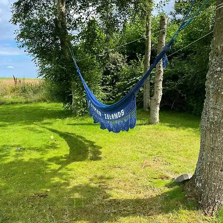 At The Front Row By Hou * Hals